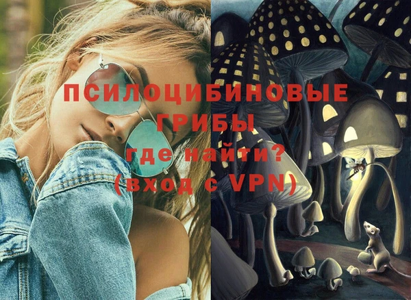 дурь Арсеньев