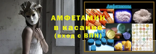 гашик Аркадак