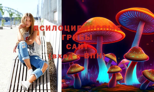 гашик Аркадак