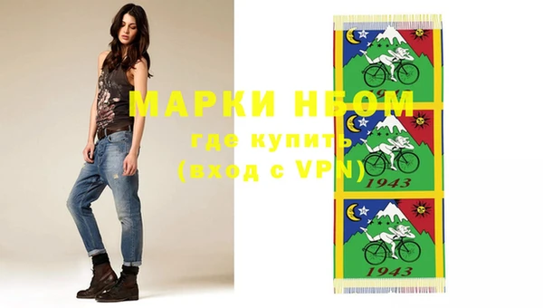 гашик Аркадак