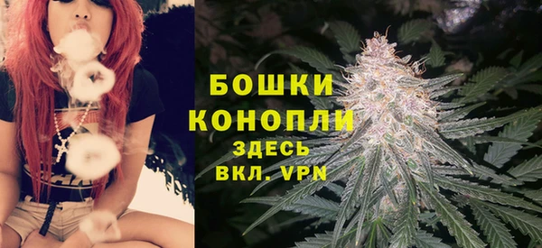 гашик Аркадак