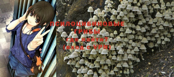 прущая мука Армянск