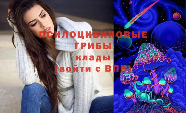 прущая мука Армянск